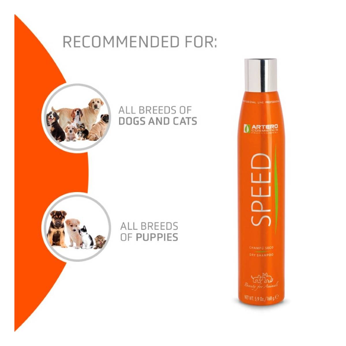 Artero Speed 300ml Dry shampoo